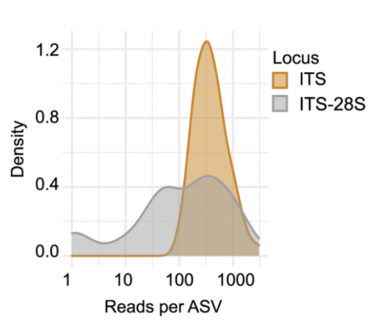 Quantifying Trade-Offs in the Choice of Ribosomal Barcoding Markers for Fungal Amplicon Sequencing: a Case Study on the Grapevine Trunk Mycobiome