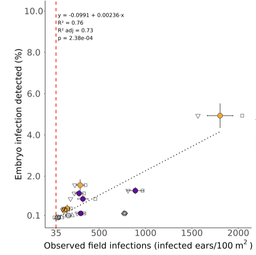 A new molecular seed assay to predict<i>Ustilago nuda</i>field infection levels