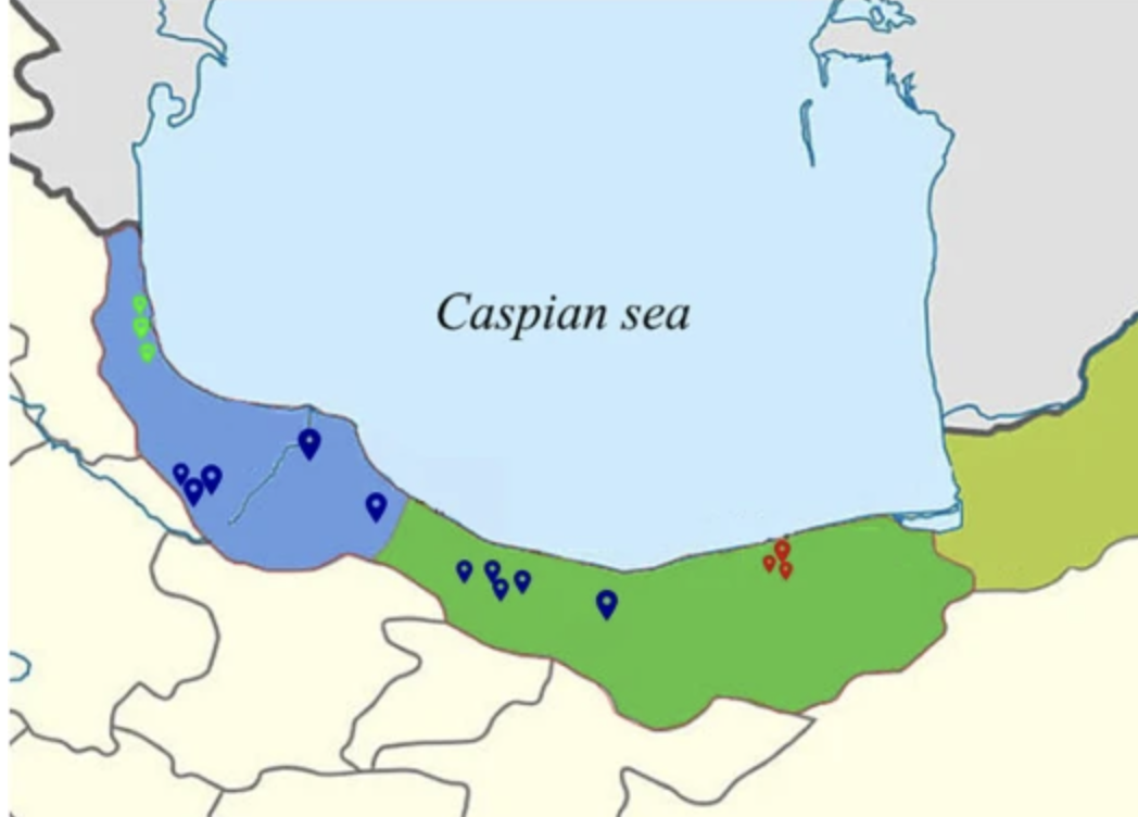 Population genetic structure of Cercospora cf. flagellaris, the dominant causal agent of bean Cercospora leaf spot disease using ISSR markers